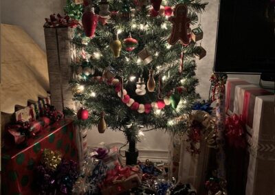 Des boules de Noël (2015)